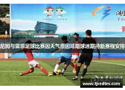 尼姆与雷恩足球比赛因天气原因延期球迷期待新赛程安排