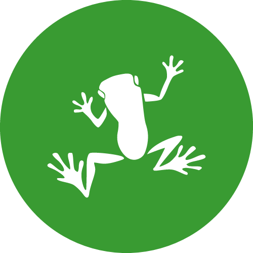刘金亮